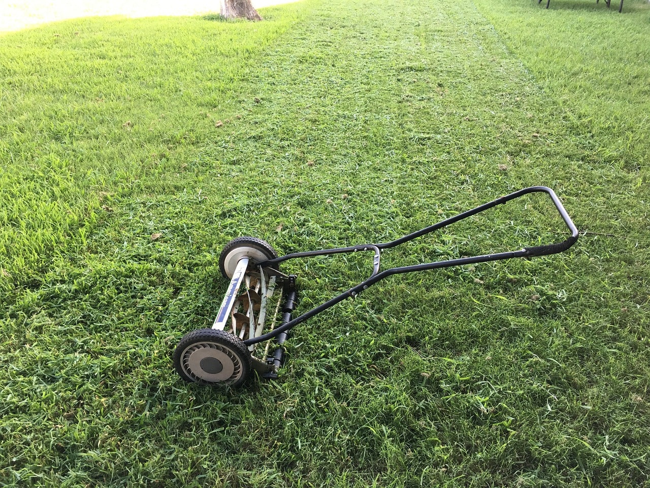 Lawn Mowing and Maintenance  Services